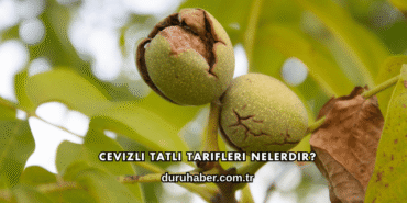 Cevizli Tatlı Tarifleri Nelerdir?
