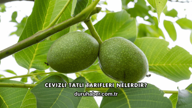 Cevizli Tatlı Tarifleri Nelerdir?