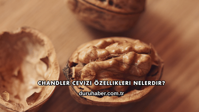Chandler Cevizi Özellikleri Nelerdir?