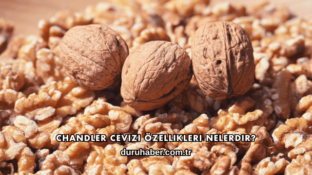 Chandler Cevizi Özellikleri Nelerdir?