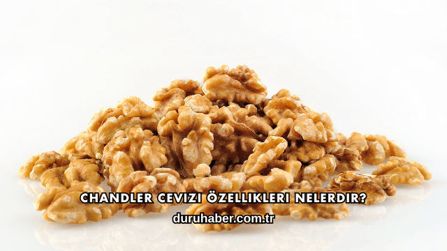Chandler Cevizi Özellikleri Nelerdir?