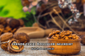 Fernor Cevizi Özellikleri Nelerdir?