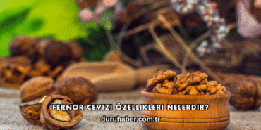 Fernor Cevizi Özellikleri Nelerdir?