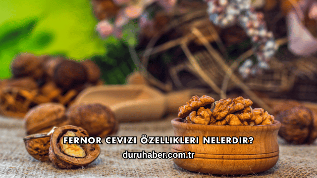 Fernor Cevizi Özellikleri Nelerdir?