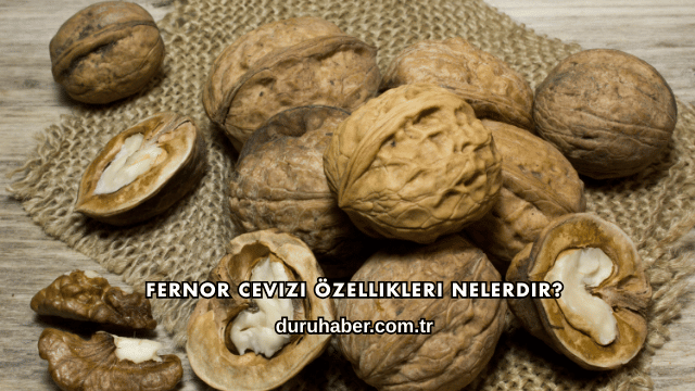 Fernor Cevizi Özellikleri Nelerdir?