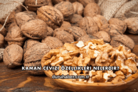 Kaman Cevizi Özellikleri Nelerdir?