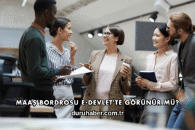 Maaş Bordrosu E-Devlet'te Görünür mü?