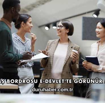 Maaş Bordrosu E-Devlet'te Görünür mü?