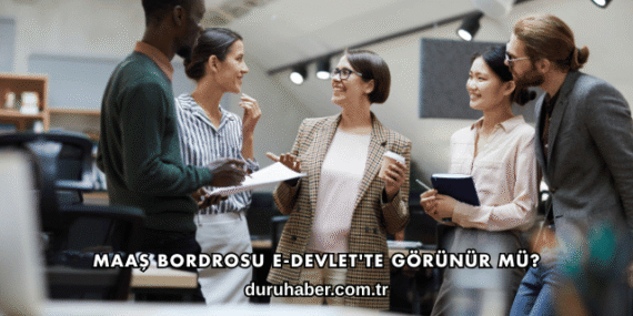 Maaş Bordrosu E-Devlet'te Görünür mü?