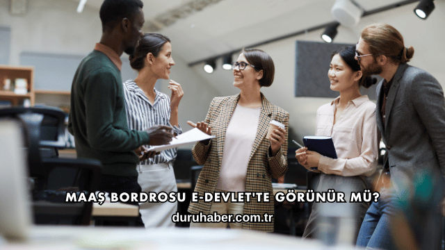 Maaş Bordrosu E-Devlet'te Görünür mü?