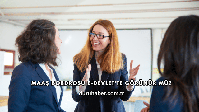 Maaş Bordrosu E-Devlet'te Görünür mü?