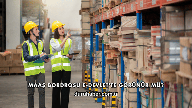 Maaş Bordrosu E-Devlet'te Görünür mü?