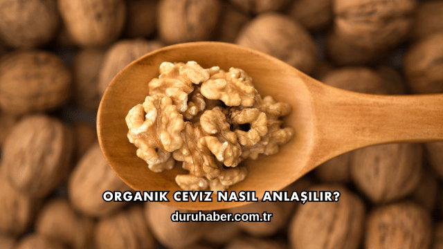 Organik Ceviz Nasıl Anlaşılır?