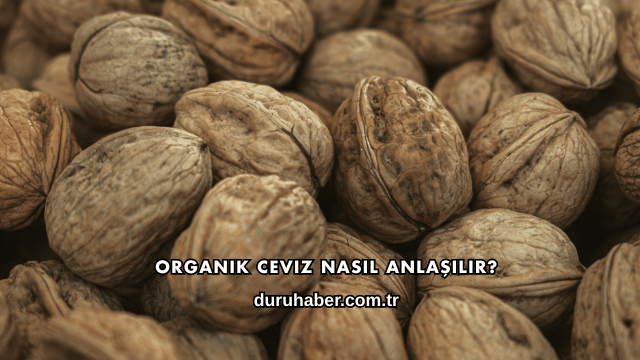 Organik Ceviz Nasıl Anlaşılır?