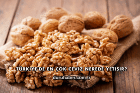 Türkiye'de En Çok Ceviz Nerede Yetişir?