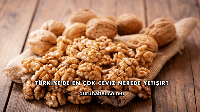 Türkiye'de En Çok Ceviz Nerede Yetişir?