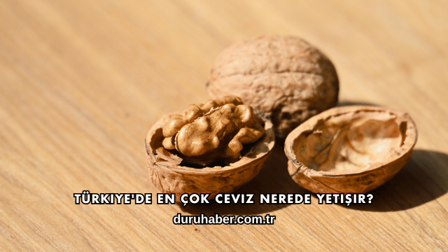 Türkiye'de En Çok Ceviz Nerede Yetişir?
