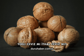 Yerli Ceviz mi İthal Ceviz mi?