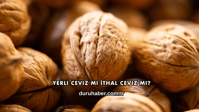 Yerli Ceviz mi İthal Ceviz mi?