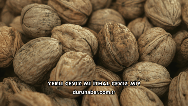 Yerli Ceviz mi İthal Ceviz mi?